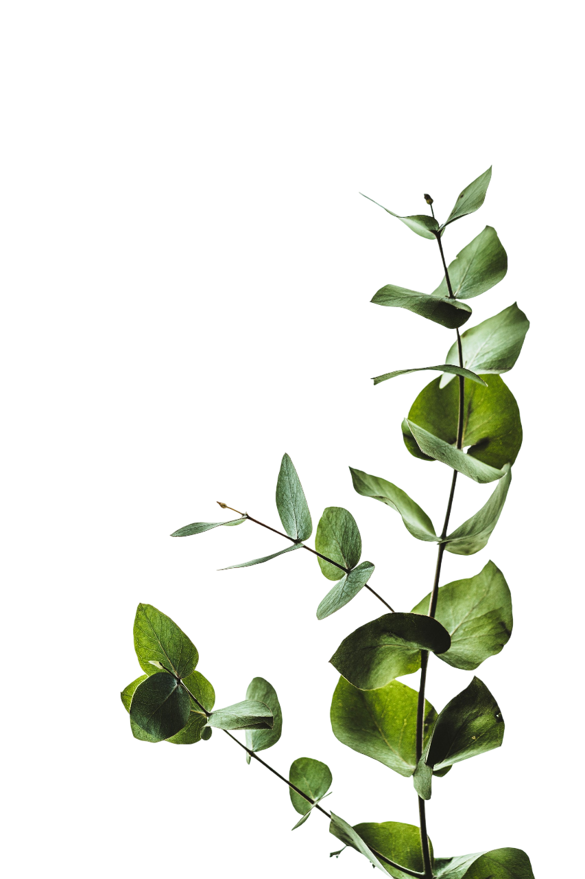 Decorative leaf