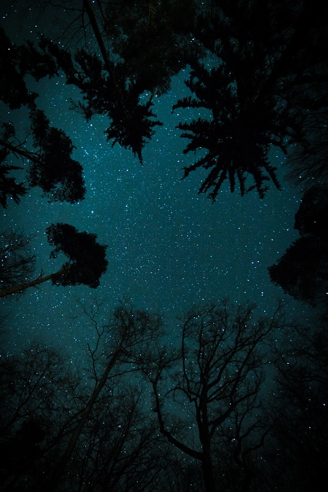 Nature photo